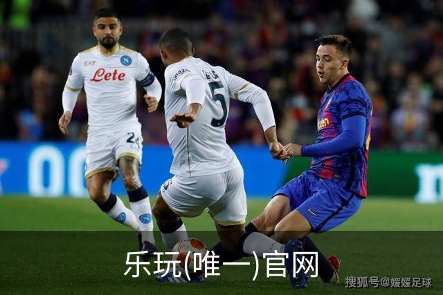 关于乐玩(唯一)官网